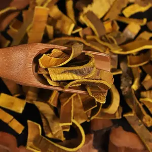 Huang Bo ramuan Cina massal phellokalty Chinensis kering Amurense teh kulit kayu - Product Image 5