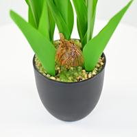 Mini tulipe de 32 cm à 5 têtes avec racine de bulbe simulée, pot noir, arrangement en pot pour hôtel, café, mariage, décoration de table
