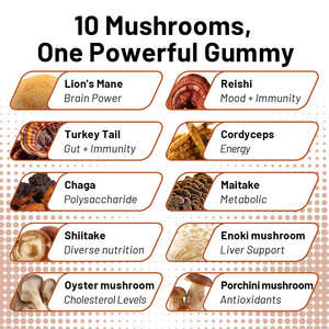 Mélange puissant d'extraits de champignons divers pour soutenir l'équilibre, la clarté et les performances quotidiennes - Product Image 4