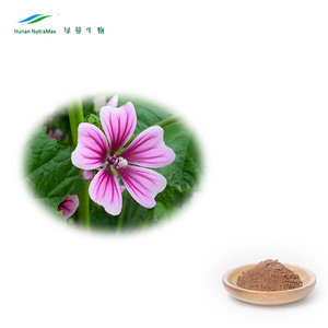 Extrait de racine d'Althaea Officinalis de haute qualité, extrait de racine d'<span class=keywords><strong>Althea</strong></span> 10:1, extrait naturel de feuille de guimauve pour produits sains - Product Image 2