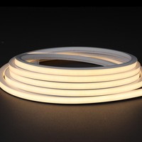 Bande néon flexible 3D à émission planaire 120 LED/m haute densité 12x12mm, pliable à volonté, en PVC, étanche IP68