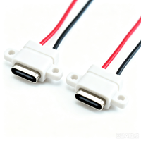 Connecteur USB Type-C femelle à connecteur d'alimentation mâle 2 broches avec câble 1007-24AWG 6CM 10CM 15Cm pour montage sur panneau LN-004