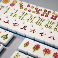 Juego de Fichas de Mahjong Americanas de Acrílico con Diseño de Panda Gigante Chino, Clásico Estampado Oriental de Panda en Bambú, Borde Blanco y Azul en Relieve