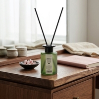 Diffuseur de parfum à bâtonnets en verre vert, huiles essentielles naturelles longue durée, purificateur d'air, OEM&ODM pour chambre, hôtel, décoration intérieure