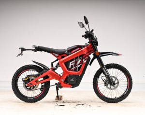Motocicleta Eléctrica Todoterreno <span class=keywords><strong>de</strong></span> Fábrica, 3000W, Carga Rápida en 4h, Motocross con Doble Freno <span class=keywords><strong>de</strong></span> Disco - Product Image 2