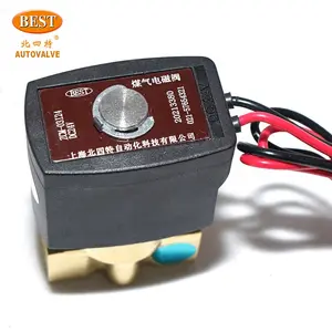 Elektrikli ZCM kapatma 2 yollu 1/2 - 1 inç diyafram 110V 220V 12V 24V kömür gaz pirinç alaşım solenoit valf