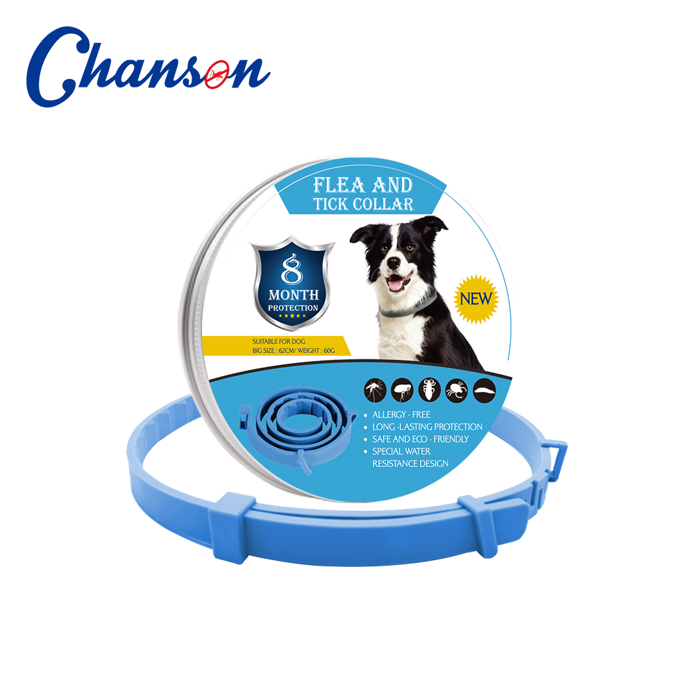 Chien bleu