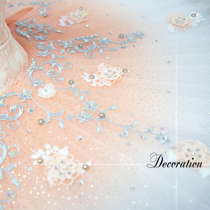 T0321 Tutu de ballet professionnel de haute qualité pour fille, costume de scène, jupe de ballet romantique - Product Image 5