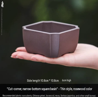 Maceta para Suculentas, Cuadrada, de Plástico, con Base Cónica, para Jardinería, Hogar, Ventana, Escritorio, Precio Especial, Liquidación, Envío Gratis