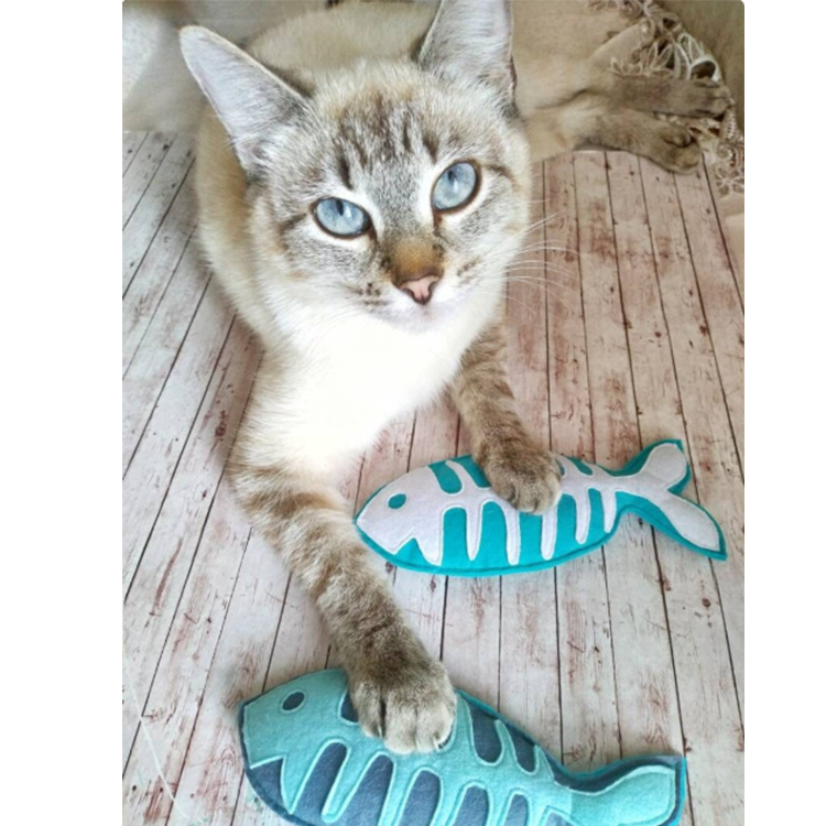 Hot selling smart pet accessories catnip