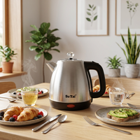 Bouilloire électrique de haute puissance 1500W en acier inoxydable de qualité alimentaire, design esthétique, idéale pour le salon - Prix de gros