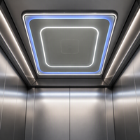 Pièces d'ascenseur : Plafonnier LED panoramique moulé intégralement, édition ciel étoilé, design moderne pour villa et appartement