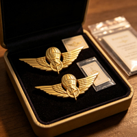 Insigne d'aile de parachute en métal personnalisé, moulé sous pression en or, gaufré en 3D, finition émail dur