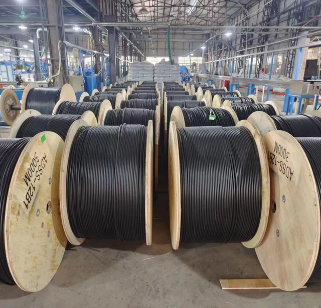 HDPE All Dielectric Self-Supporting Aerial Cable ADSS-12 Core span 100 M