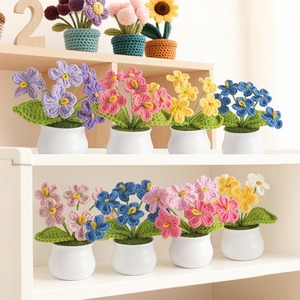 Plantas en maceta de olvido-amo (Forget-Me-Not) hechas a mano y personalizadas, regalos para el Día de la Madre, plantas en maceta directamente de fábrica, plantas en maceta en lotes. - Product Image 4