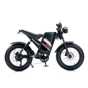 Nhà Máy Giá 1000W 15ah Off Road Nhanh Chóng Điện Xe Đạp Bụi Bẩn Chất Béo Lốp E Xe Đạp Siêu Xe Đạp Điện 73 - Product Image 2