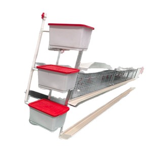 Sistema de Gaiolas de Bateria Automático para Aves Direto da Fábrica Tipo H, Aviário de Aço para Frangos de Corte e Poedeiras, Condição Novo/Usado - Product Image 3