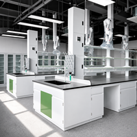 Banc de travail de laboratoire scolaire avec plan de travail en résine époxy, structure en acier durable, conception modulaire, mobilier de laboratoire scientifique sur mesure