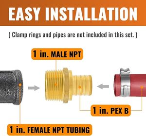 Adaptador <span class=keywords><strong>PEX</strong></span> de 1" x 1" con Rosca NPT Macho, Conexión a Presión, Latón Pulido Sin Plomo - Product Image 3