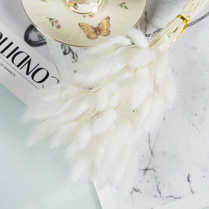 Erba di Coniglio Essiccata Naturale all'Ingrosso per Decorazioni Matrimoniali, Forniture per Fioristi, Artigianato Fai-da-Te e Composizioni - Product Image 2