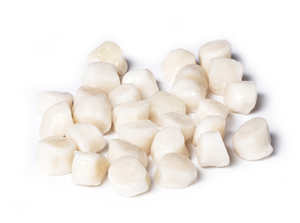 Sò Điệp Thịt Đông Lạnh Giá Bán Sỉ - Product Image 5