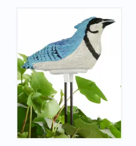 Bird soil moisture alarm device