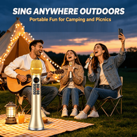 Microphone sans fil avec moniteur/écran, microfono inalambrico profesional, système de haut-parleurs pour karaoké, OEM USB