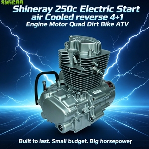 Motor Shineray Mejorado <span class=keywords><strong>de</strong></span> <span class=keywords><strong>250cc</strong></span>, Refrigerado por Aire, Arranque Eléctrico, Reversa, 4+1 Velocidades para ATV, Quad y Motocross - Product Image 2