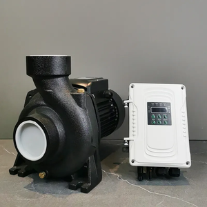 17m High Head 55m3/h Flow High Booster <b>Pump</b> 110v <b>Solar</b> <b>Pump</b> 3 Inch Outlet Agriculture Booster <b>Pump</b> AS-DC-<b>PUMP</b> 2HP Surface <b>Pump</b> B - Product Image 2