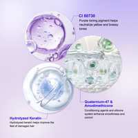 Après-shampoing Liquide Hydratant et Lissant Anti-Jaunissement Violet OEM pour Cheveux Blonds, Gris Argenté, Décolorés et Pastel ODM