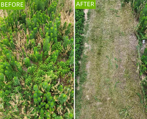 Tondeuse à gazon à moteur diesel en gros, 600W*2pcs, électrique, 1.6L, tondeuse à gazon automatique, hauteur de coupe réglable pour les terrains de football - Product Image 4