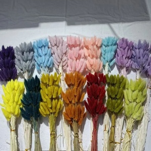 Tự Nhiên Pampas Thỏ Đuôi Cỏ Bảo Quản Thỏ Đuôi Cỏ Khô Hoa Bó Hoa Cho Boho Trang Trí Nội Thất - Product Image 3