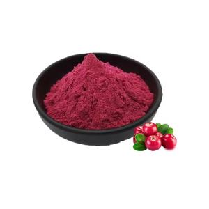 Fabrik lieferant Cranberry Powder Cranberry Fruit Extract Powder in loser Schüttung - Product Image 2