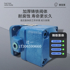 Pompe à aubes série Yb1 6,3 Mpa 960-1450 tr/min, pompe à huile hydraulique à faible bruit pour système à moyenne et basse pression - Product Image 1