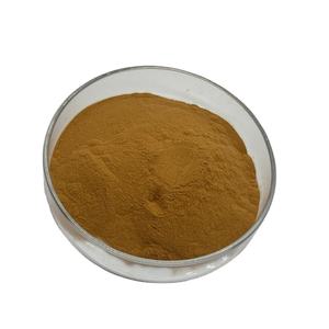 Ekinezya <span class=keywords><strong>Purpurea</strong></span> özü 4%-6% polifenol doğal ekinezya tozu ekinezya özü - Product Image 2