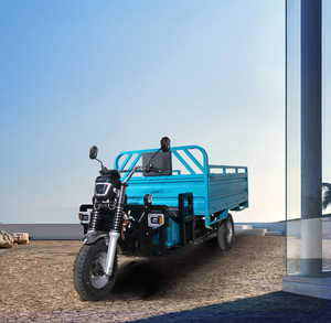 Triciclo Eléctrico de Carga EE <span class=keywords><strong>RIKSHA</strong></span> 2tons QSD, 3000W, 72V, Carrocería Abierta, Freno de Tambor, Autonomía de 120KM - Product Image 1