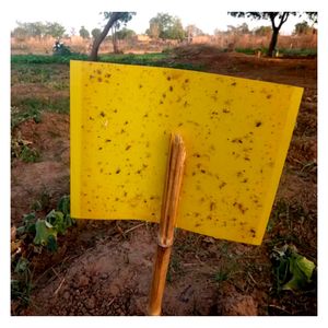 Dispositivo de monitoreo de plagas de invernadero Trampa desechable para insectos con pegamento azul para control de trips - Product Image 1