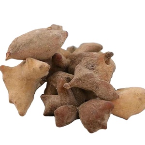 Wu Bei Zi Wholesale <strong>High</strong> <strong>Quality</strong> Chinese Herb Gallnuts <strong>Schisandra</strong> Chinensis - Product Image 5