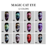 Vernis à ongles gel holographique 9D effet œil de chat, marque privée OEM, UV LED, double lumière magnétique, brillant, pour nail art, 15 ml