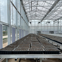 Systèmes hydroponiques d'agriculture intelligente, grande serre tunnel commerciale à double couche en PE avec contrôle automatique, à vendre