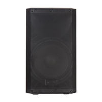 Haut-parleur actif PA de 12 pouces alimenté par une puissance de 1000 W, DSP TWS Bluetooth 5.0 pour les performances sur scène et les systèmes de sonorisation mobiles pour DJ