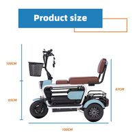 Tricycle Électrique de Transport Personnalisé pour Animaux de Compagnie et Personnes Âgées, Véhicule à Trois Roues pour la Mobilité, Direct Usine AFTFA