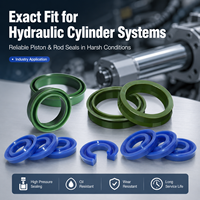 DLSEALS Joint d'étanchéité pour vérin hydraulique, joint de tige de piston, joints anti-poussière pour roulement, joint d'étanchéité pour direction assistée, joint d'étanchéité hydraulique en caoutchouc