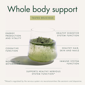 Poudre de légumes verts de qualité supérieure, marque privée, sans arôme, superaliment avec probiotiques, prébiotiques et enzymes digestives - Product Image 2