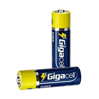 Pile alcaline AA 1,5 Volt haute performance, idéale pour les manettes de console et les jouets