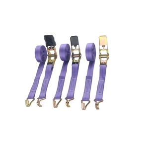 <span class=keywords><strong>Correa</strong></span> de Amarre Retráctil Automática de 1 Pulgada (25 mm), 1000 kg, Resistente, de Polipropileno y Poliéster, con Certificación CE, con Ganchos J/S - Product Image 1
