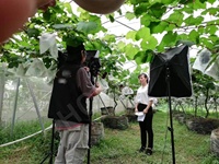 HOKBG Sacs de culture en plastique pour plantation d'arbres à prix Offre Spéciale bon marché Sac de culture pour semis d'arbres fruitiers Sacs de culture pour plantation de garpes