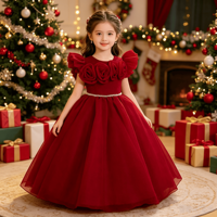 Robes de demoiselles d'honneur, robe de princesse rouge avec roses 3D, jupe longue, robe de mariage, robe de fête d'anniversaire, costume de spectacle, robe pour enfants