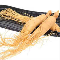 Extrait de racine de ginseng blanc sibérien de qualité supérieure, herbe traditionnelle chinoise, processus de séchage AD, traitement brut, herbes simples