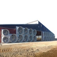 Structure en acier de conception accélérée en usine Maison d'élevage de porcs pour les applications de porcherie et de garage